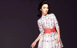 袁姗姗图片壁纸_11