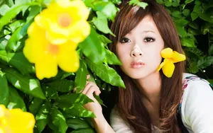 台湾果子MM花间精灵美图壁纸