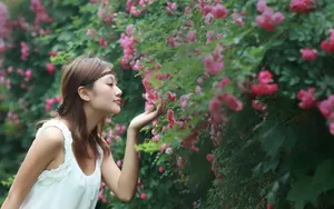 各色精品美女图片壁纸_11