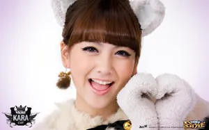 KARA美女组合壁纸_4
