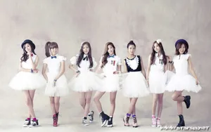 女子音乐团体APink组合_1