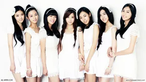 女子音乐团体APink组合_8