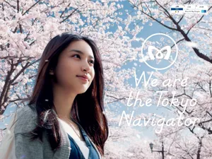 We are the Tokyo Navigator美女壁纸