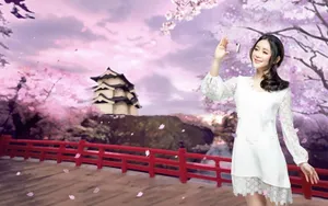 各色各样的美女图片