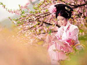 古典琵琶美女壁纸_5