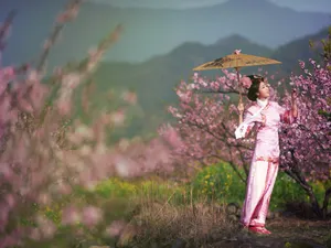 古典琵琶美女壁纸_6