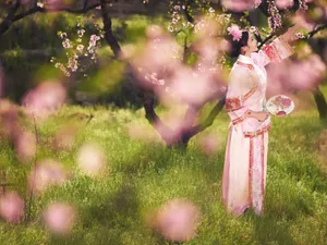古典琵琶美女壁纸_7