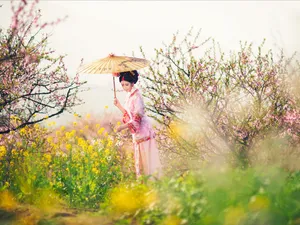 古典琵琶美女壁纸_8