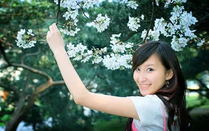 美女图片壁纸云集_18