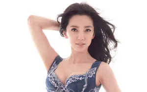 李冰冰壁纸_3