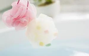 SPA 第二辑_5