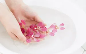 SPA 第二辑_9