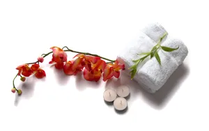 SPA 第二辑_13