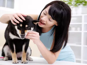 女人与宠物 第二辑_2