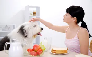 女人与宠物 第一辑_3