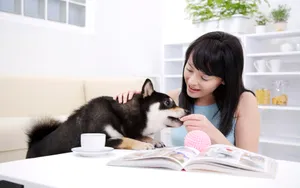 女人与宠物 第一辑_15