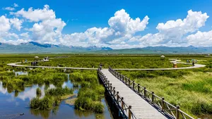 四川若尔盖花湖风景图片_4