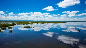 四川若尔盖花湖风景图片_7