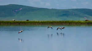 四川若尔盖花湖风景图片_8