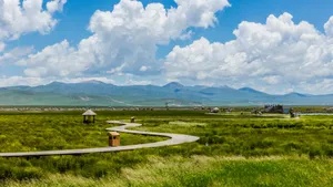 四川若尔盖花湖风景图片_9