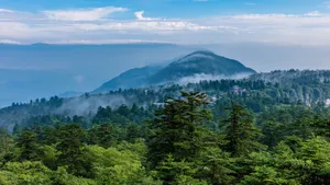 四川峨眉山风景图片_8