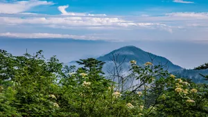 四川峨眉山风景图片_9