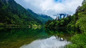 四川九寨沟风景图片_3