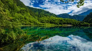 四川九寨沟风景图片_4