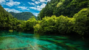 四川九寨沟风景图片_7