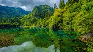 四川九寨沟风景图片_8