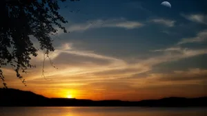 夕阳与树风景壁纸_7