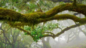 震憾壮观的风景图片壁纸_11
