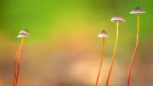 震憾壮观的风景图片壁纸_13