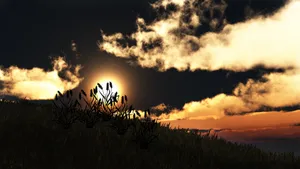 唯美夕阳剪影图片_6