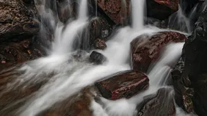 溪流图片大图_5