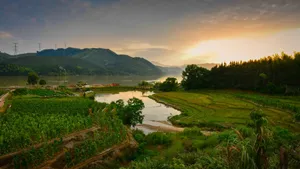 黄昏的田园风景壁纸_3