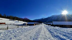 冬季北疆雪景图片壁纸_3