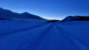 冬季北疆雪景图片壁纸_5
