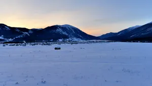 冬季北疆雪景图片壁纸_7