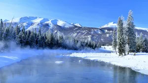 冬季北疆雪景图片壁纸_8