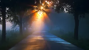 唯美高清日出风景壁纸_4