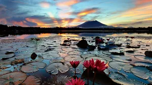 唯美高清日出风景壁纸_5
