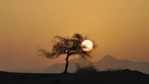 唯美高清日出风景壁纸_8