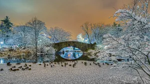 2016年bing官方主题风景壁纸_8