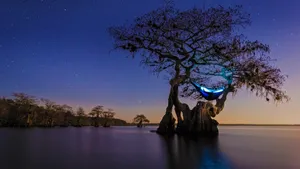 2016年bing官方主题风景壁纸_10