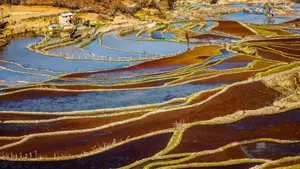 云南元阳箐口梯田风景图片_2