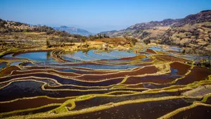 云南元阳箐口梯田风景图片_3