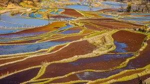 云南元阳箐口梯田风景图片_5