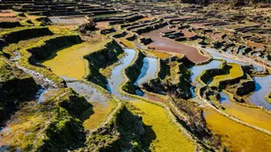 云南元阳箐口梯田风景图片_7