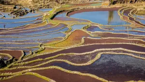云南元阳箐口梯田风景图片_9